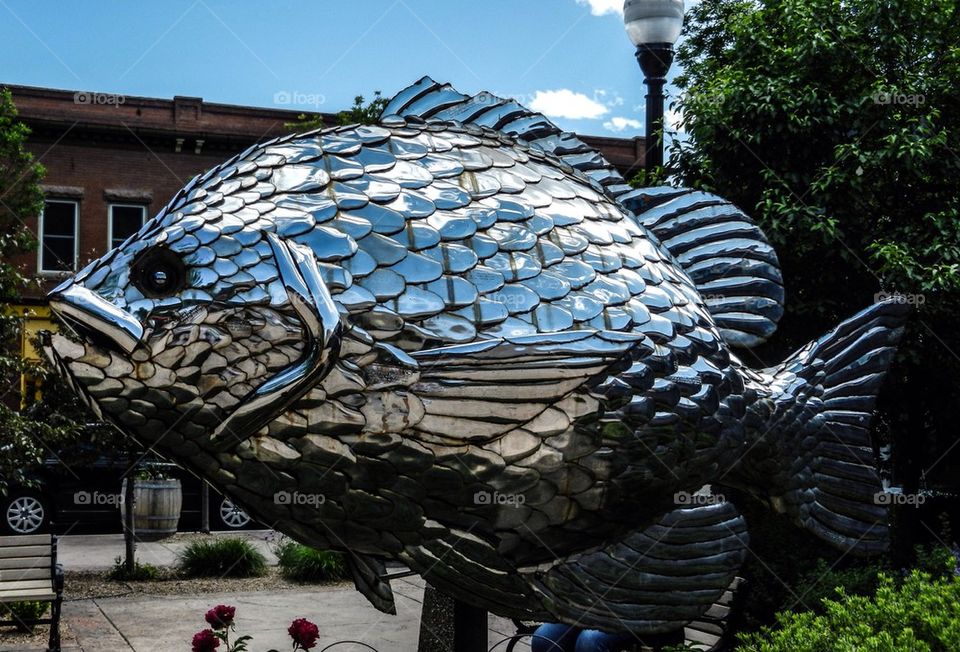 Fish sculpture 