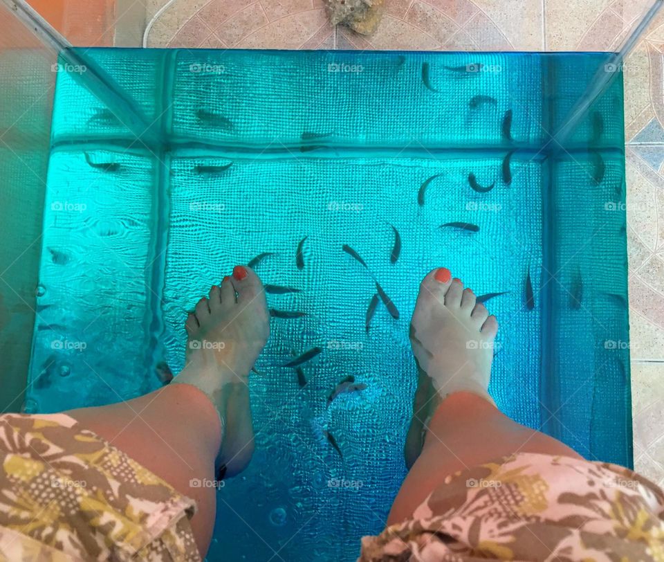 Women legs with pedicure red nail polish in the water tank with plenty garra rufa little fishes for spa treatment