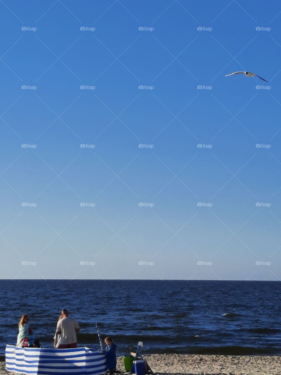 family at seashore  on sunny afternoon