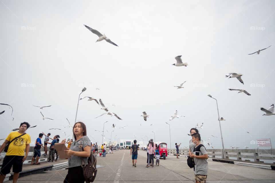 Bangkok/Thailand:March 16 2019:Seagull migration season