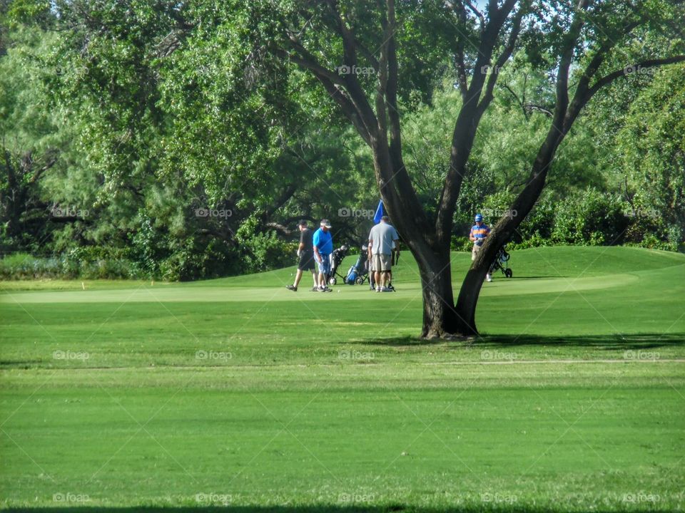 Sunday morning golf tournament. This is a picture of some golfers playing in a summer tournament just outside of Graham Texas