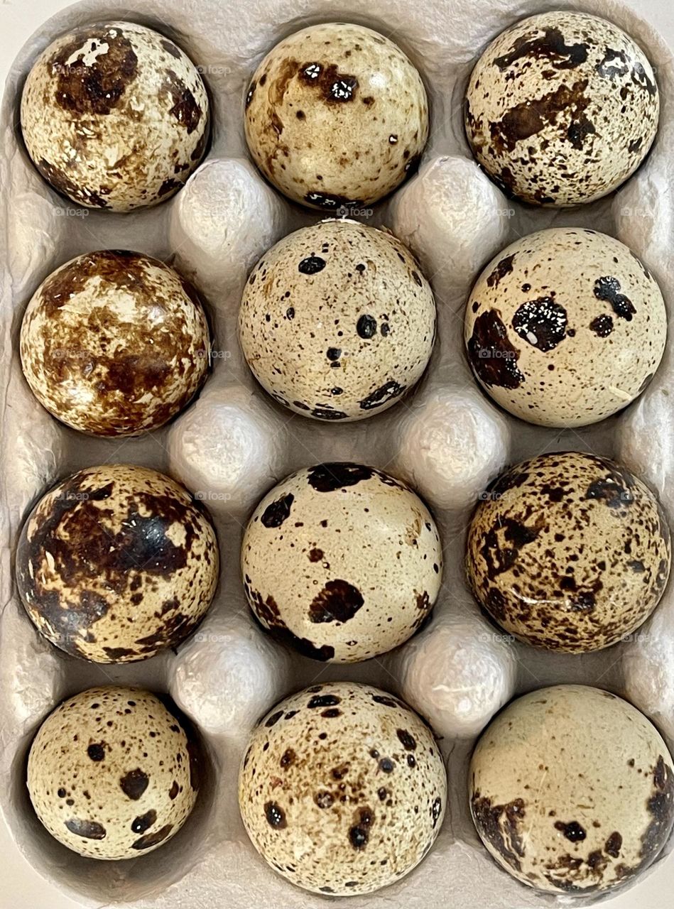 small quail eggs with a variegated shell