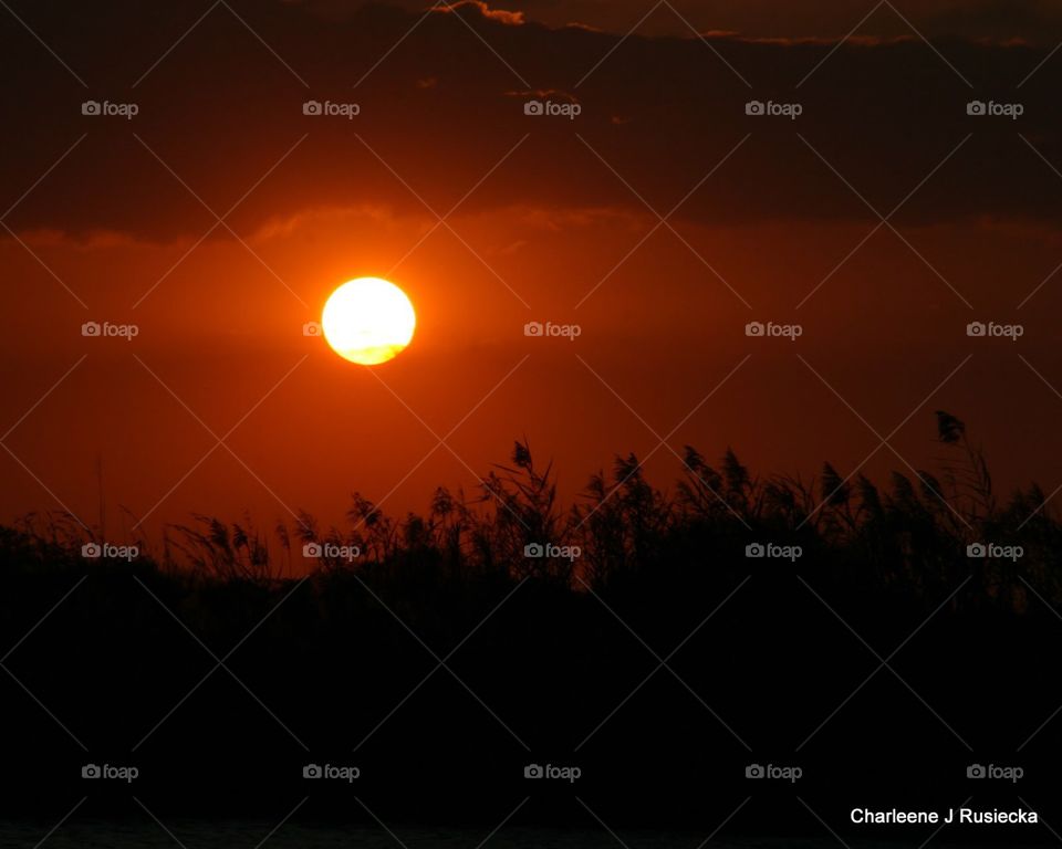 Sunset orange