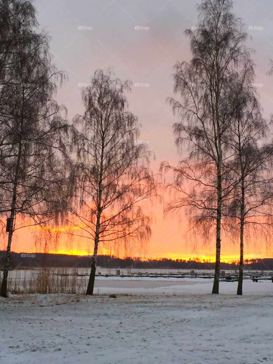 Red landscape! 