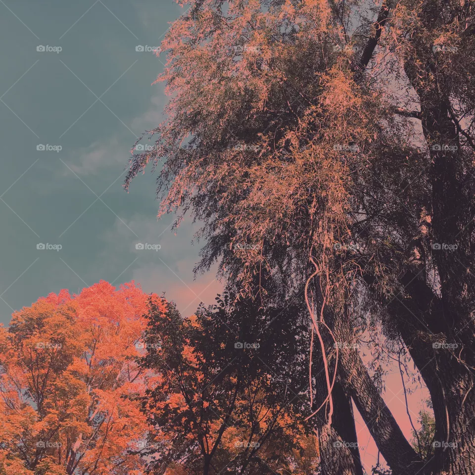 All fall 