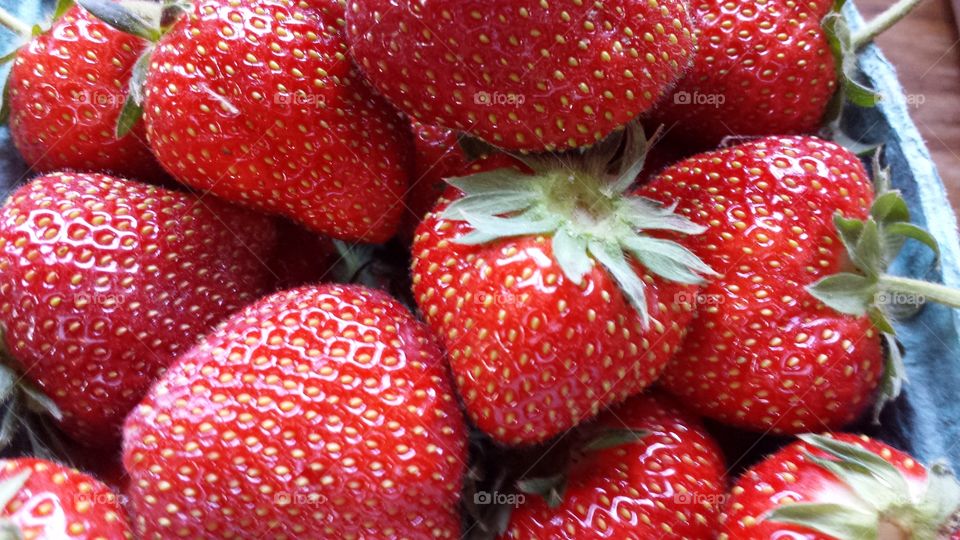 Fresh strawberries