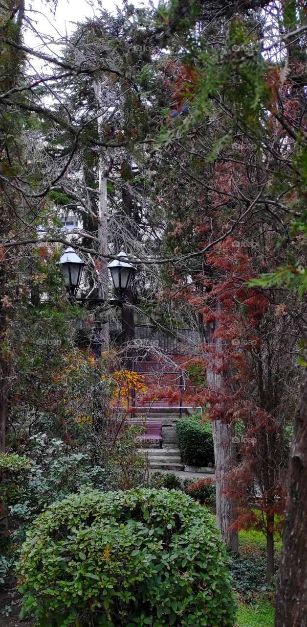 Mysterious Last Day of Autumn 😌