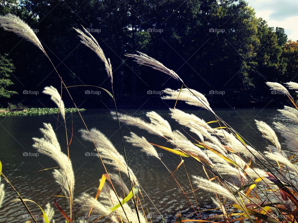 Park in Bamberg 