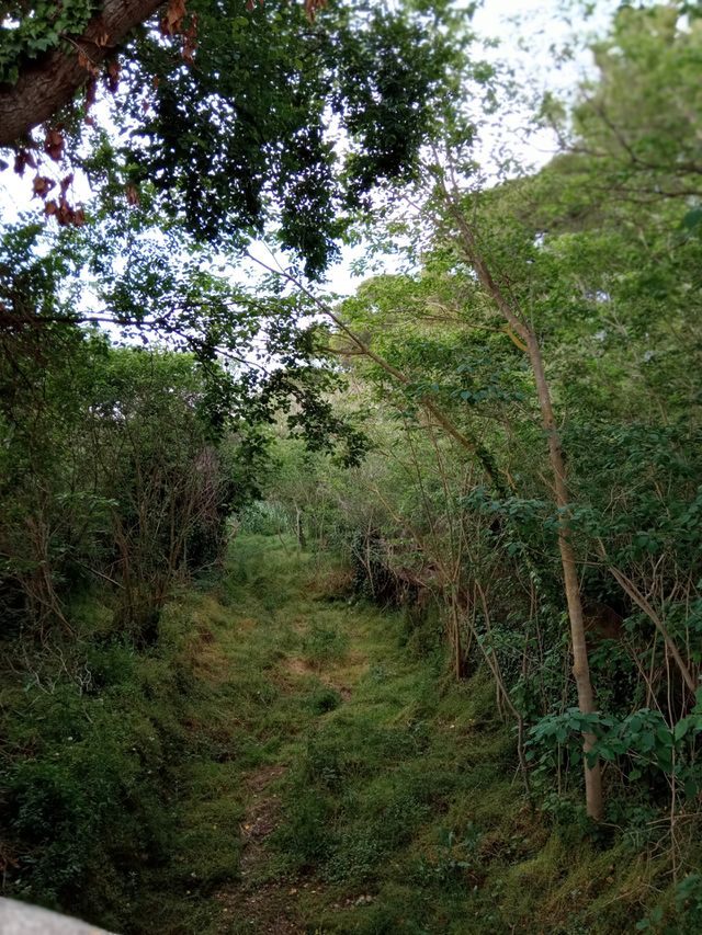 parque