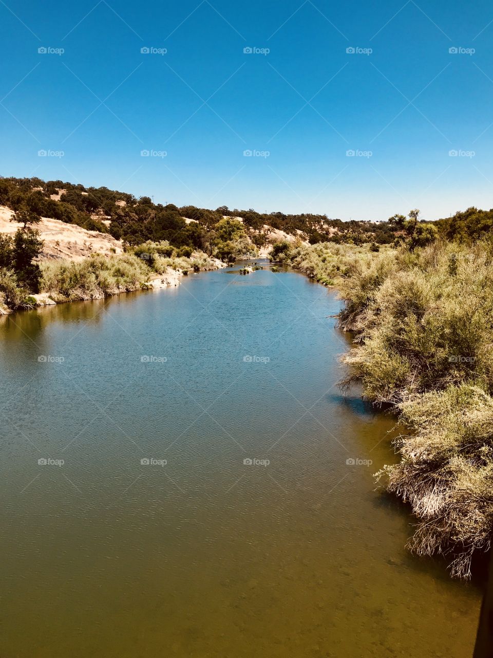Awesome day in the river 
