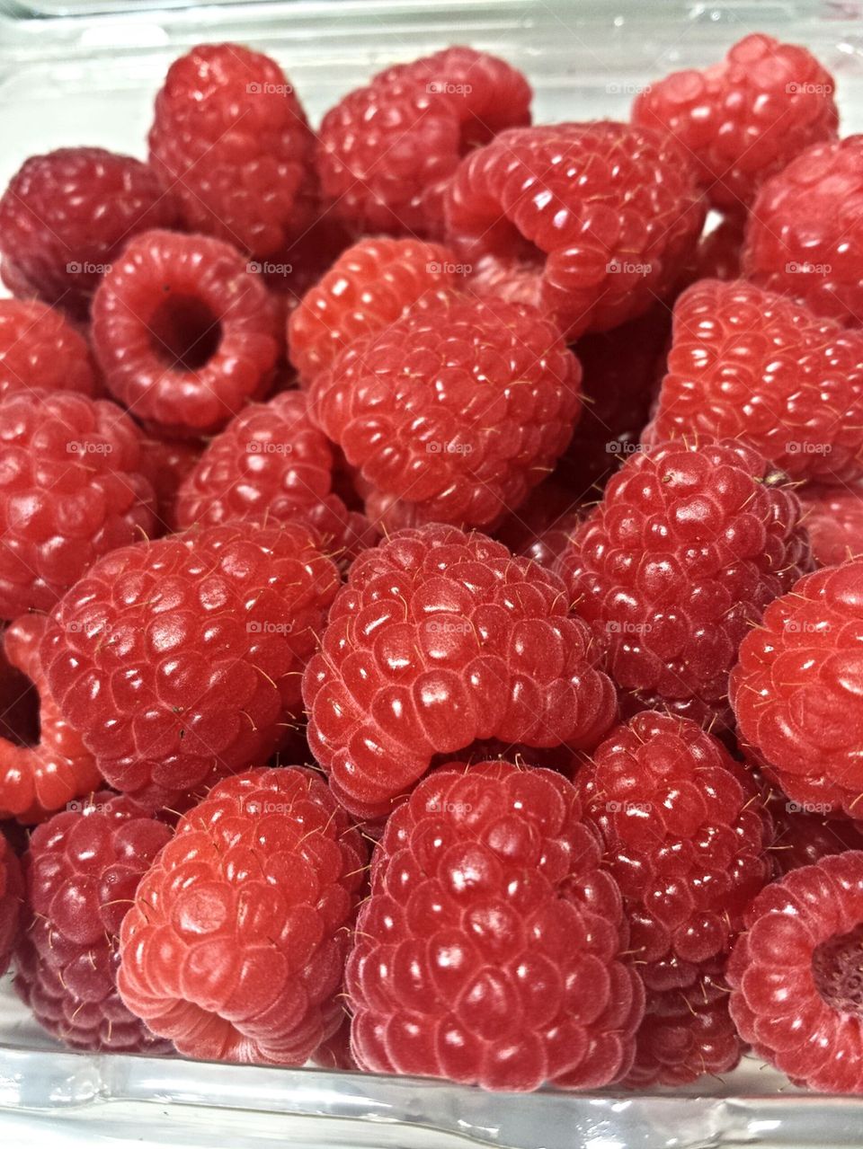 Raspberry wild