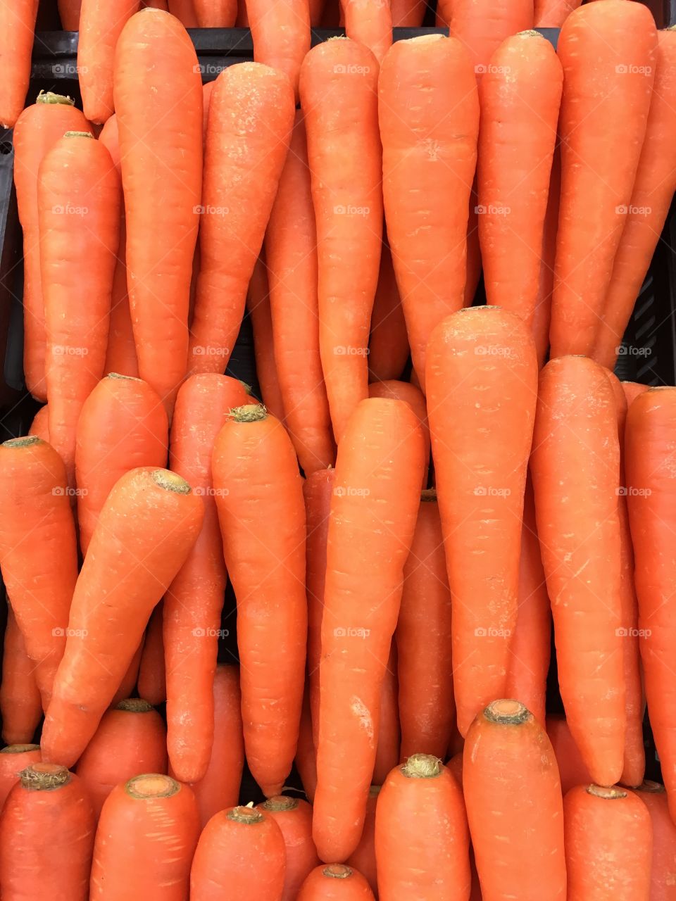Many carrots