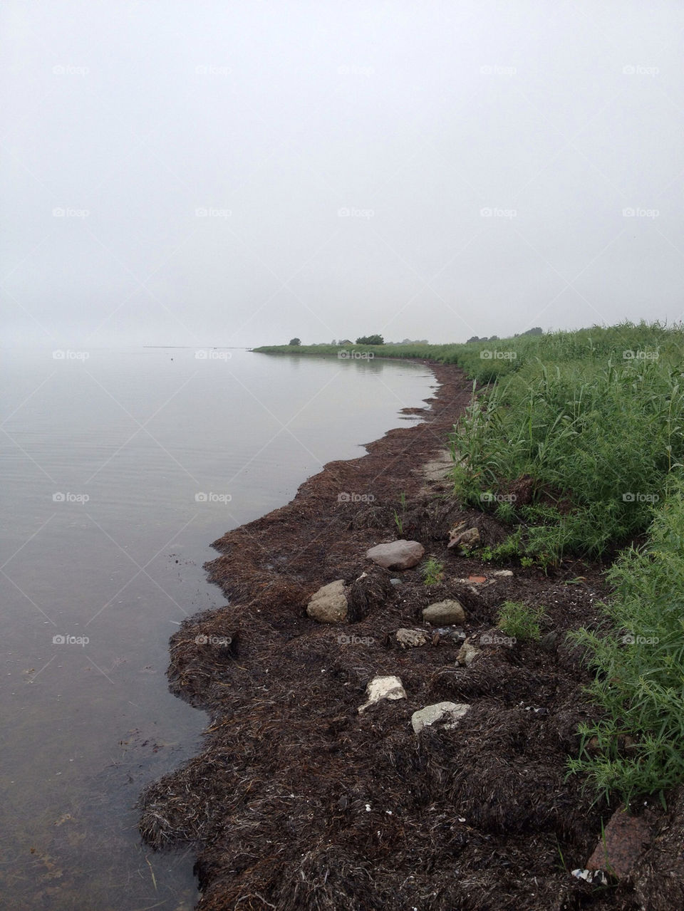 vellinge by linilivly