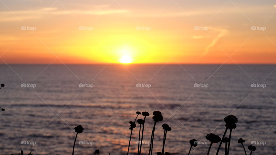 Evening on the beach