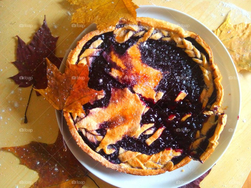 Maple Leaves in a Blueberry Plash