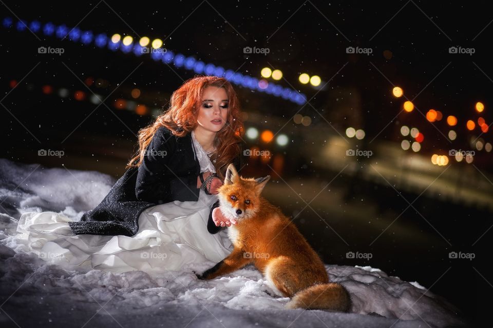 Winter fox