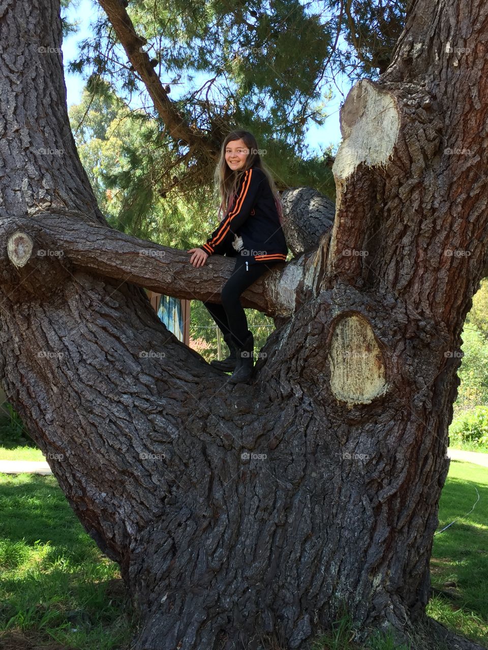 Girl on tree