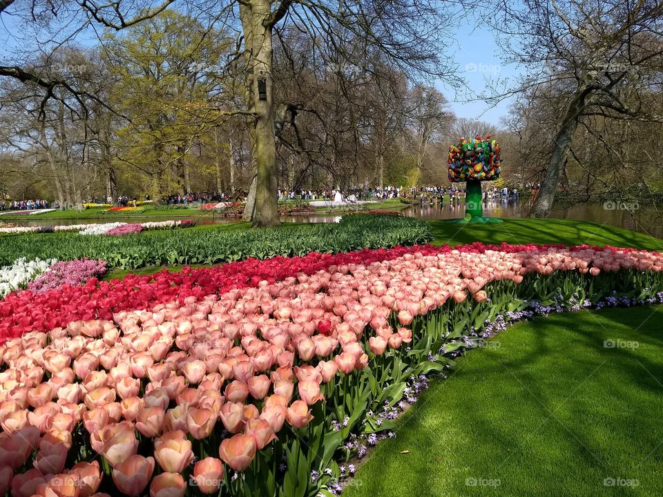 keukenhof