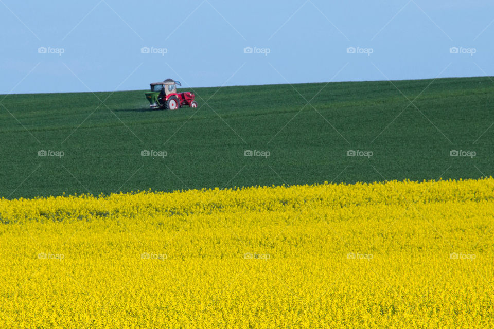 Tractor in field