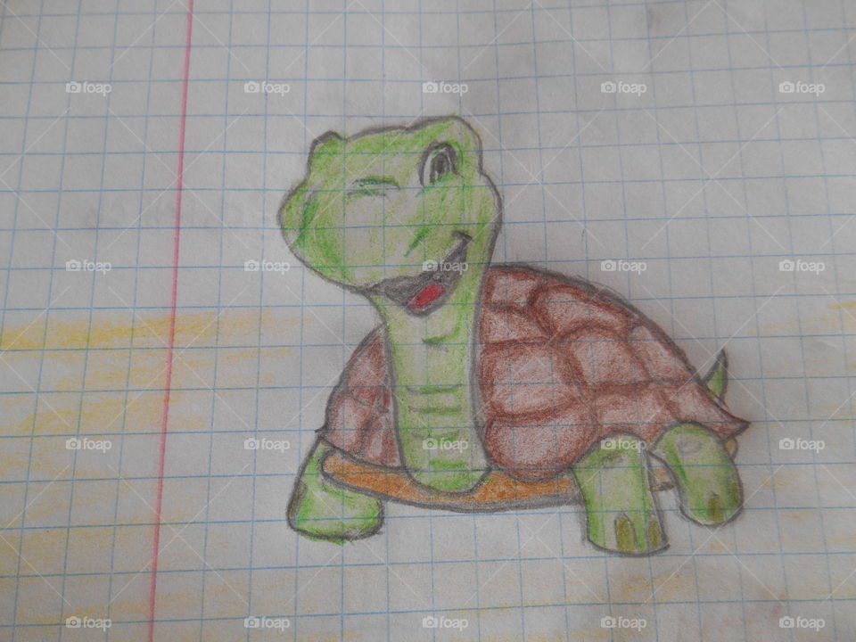drawing, turtle