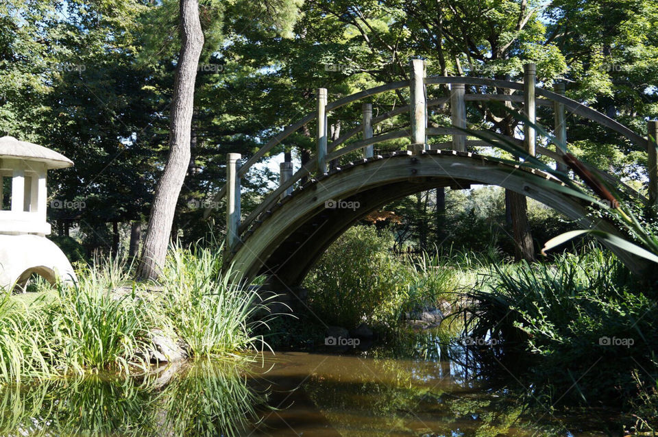 Japanese garden in Batavia