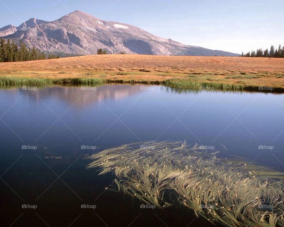 Alpine Tarn in the Sierra Nevada