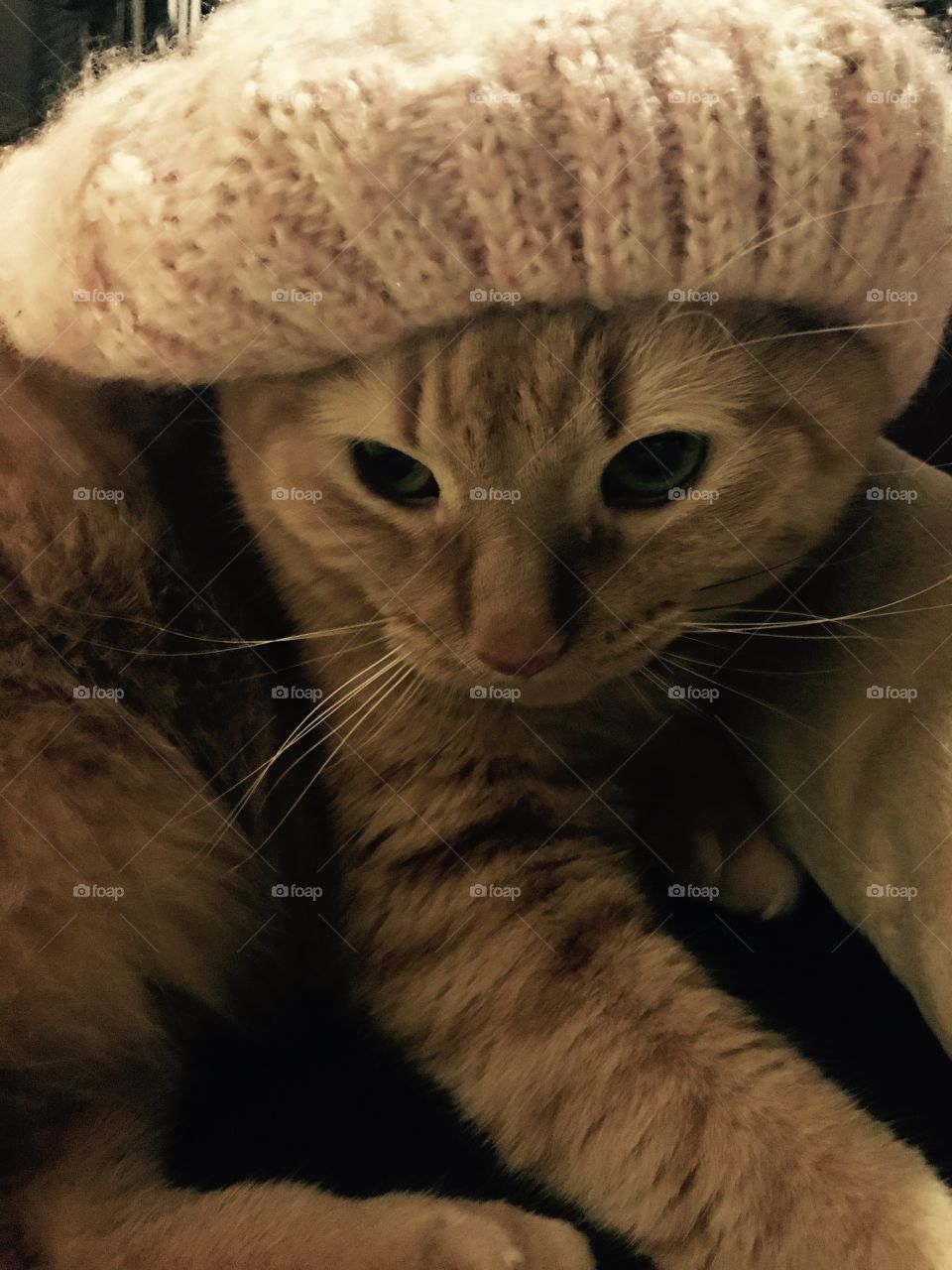 Pussy with pussyhat 