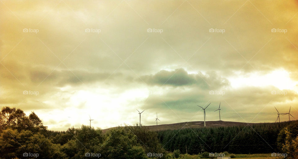 trees weather cloud wind by kmcw1405