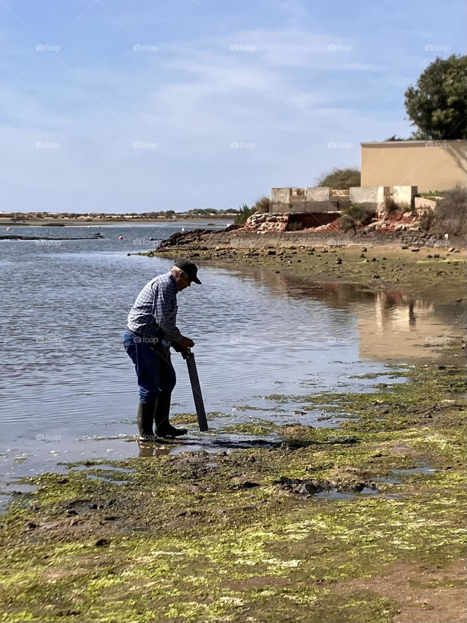 Old man picking up shells
