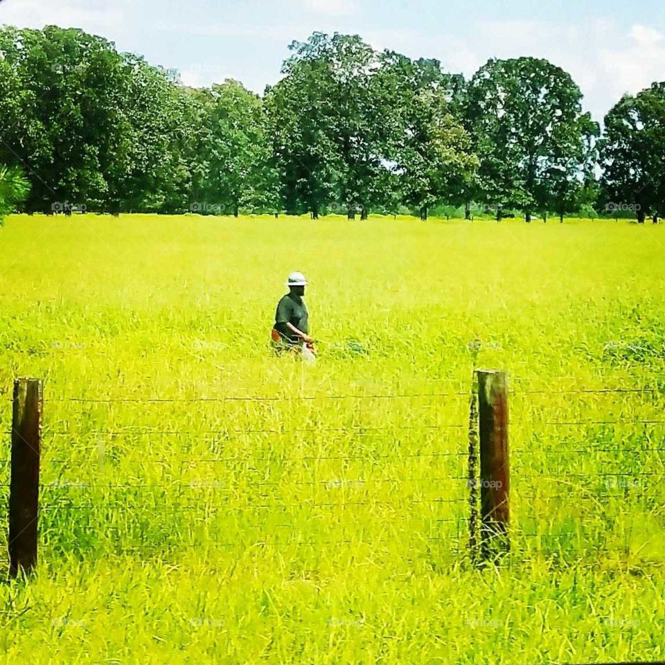 black man in a yellow field