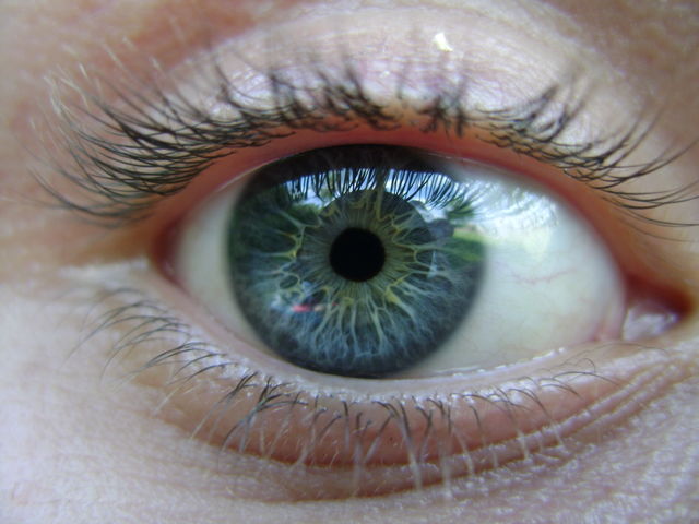 eyeball