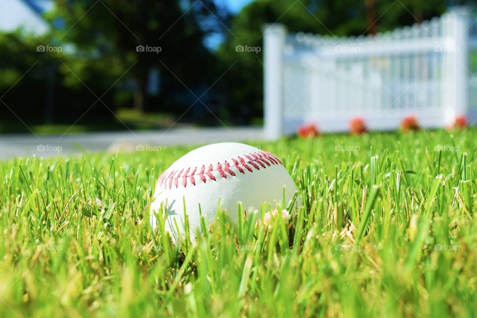 Baseball in the grass
