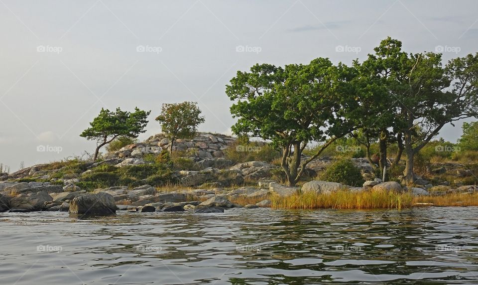 Scenic view of lake