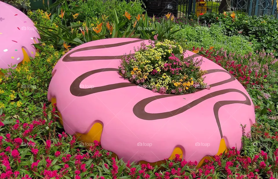 lovely Donut