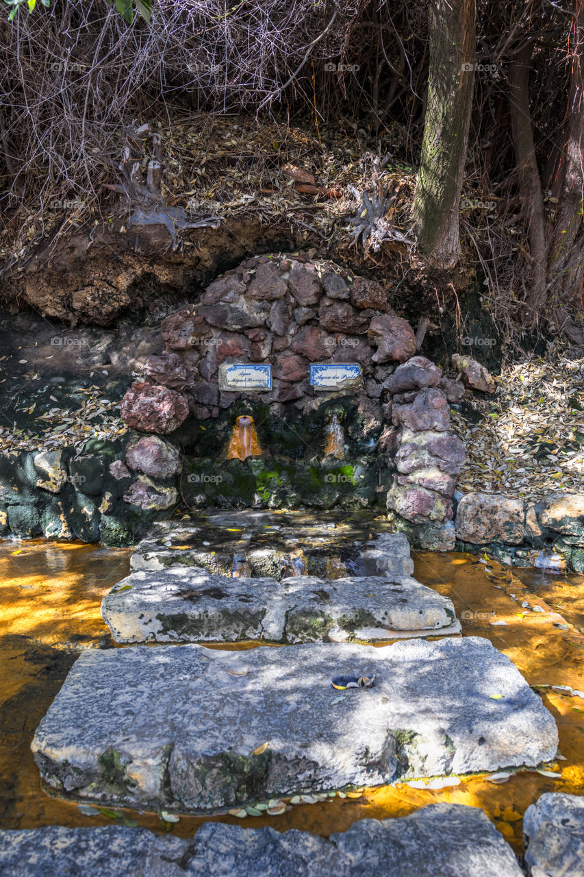 Vulcanic spring in Furnas, Sao Miguel, Azores, Portugal.