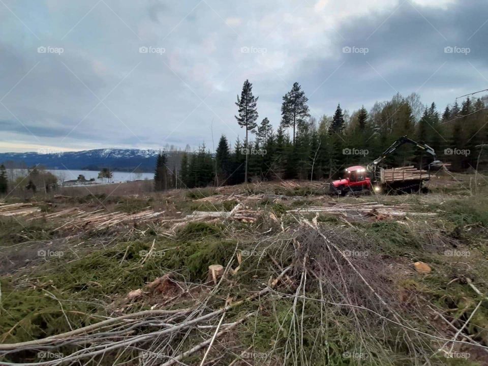 picture of a komatsu forest machine