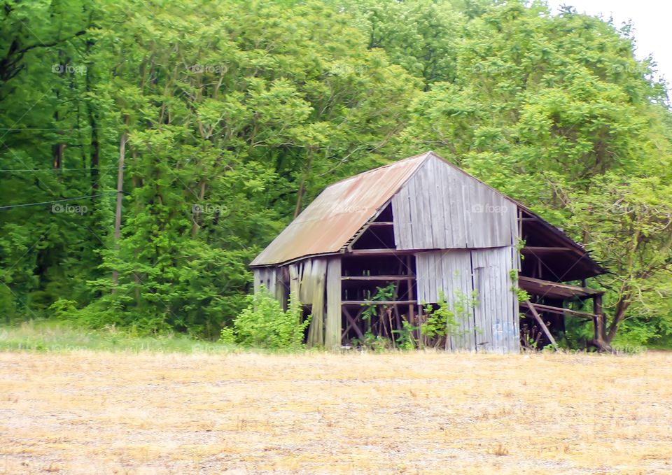 Old barn on farm