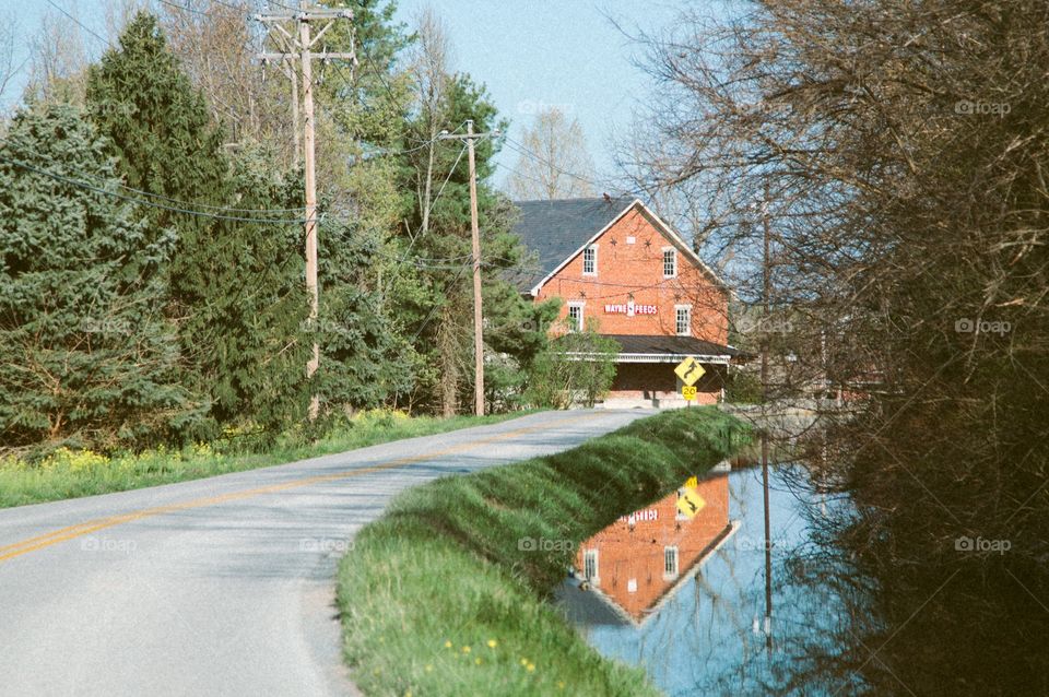 Tree, No Person, Outdoors, Wood, Nature