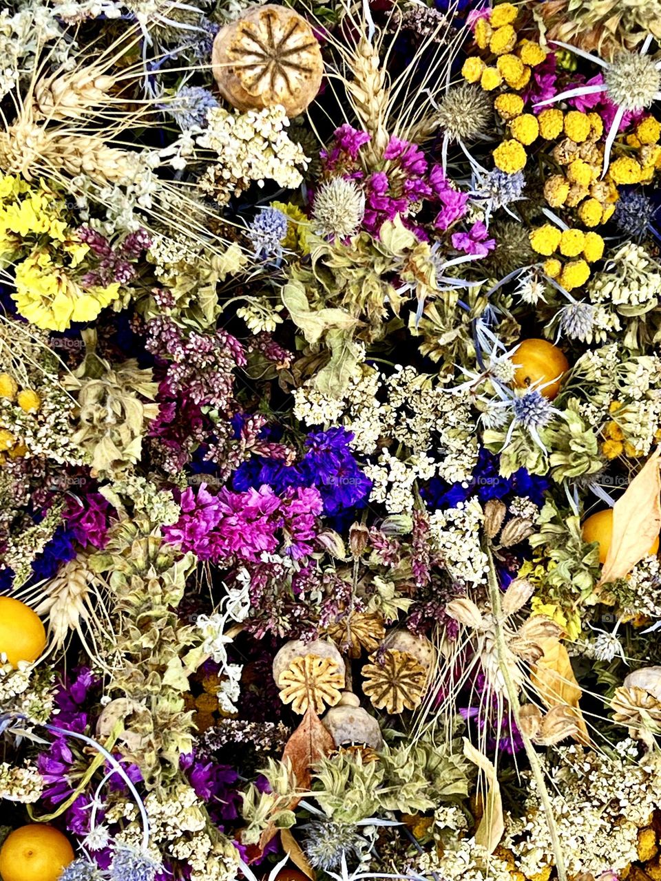 Bouquet of wild flowers. Dried flowers. Background