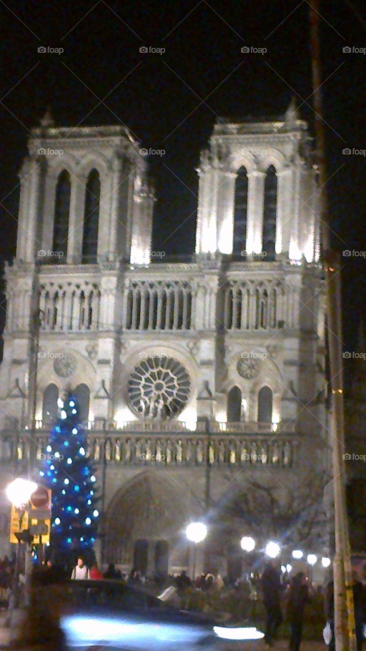 notre dame de paris in france