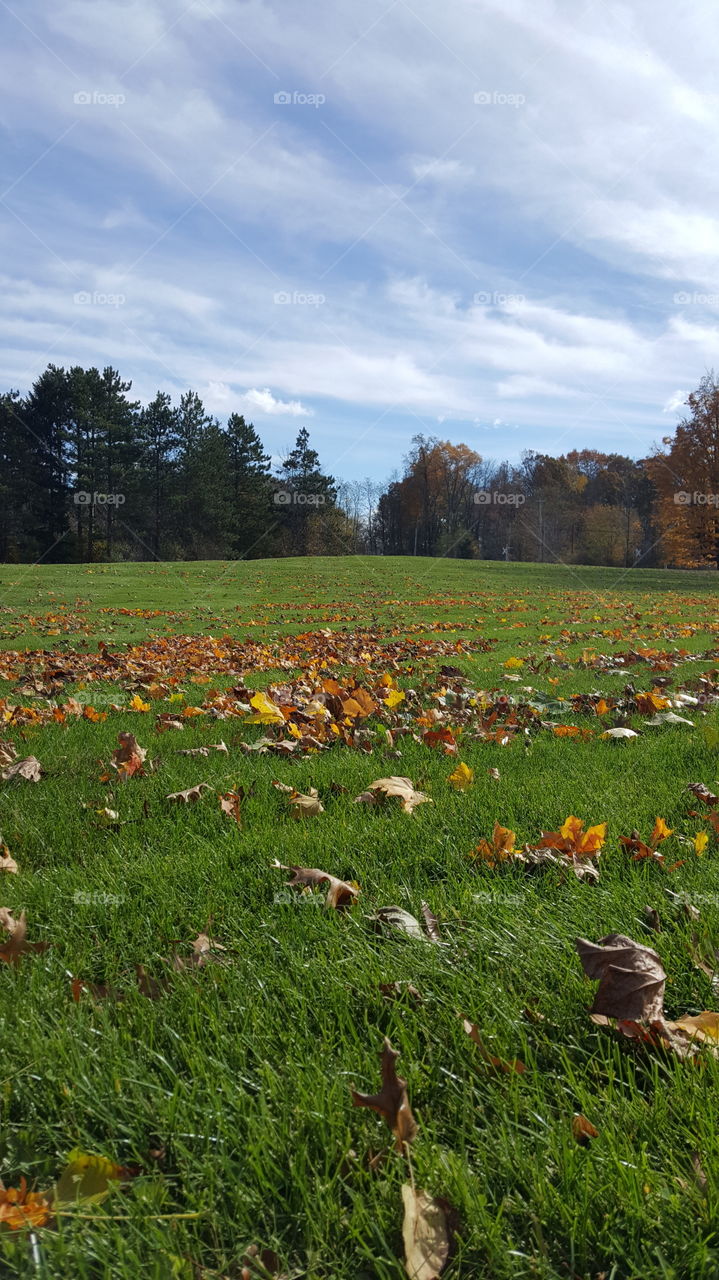Fall in Northeast Ohio