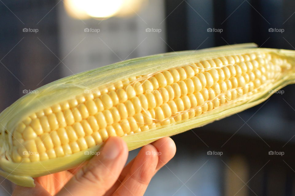 Sweet corn 🌽 