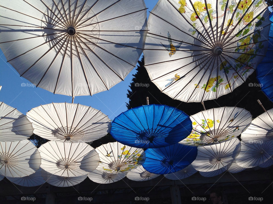 blue japanese bird umbrella by majamaki