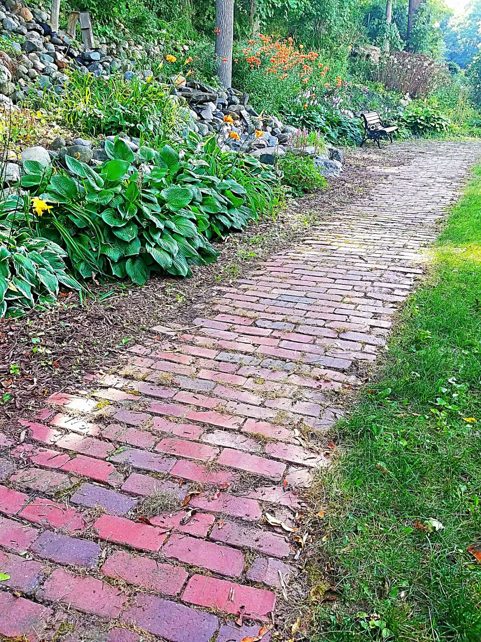 brick path in the courtyard