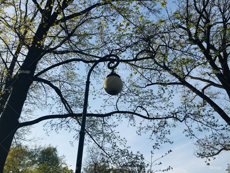 Светлячки Питера