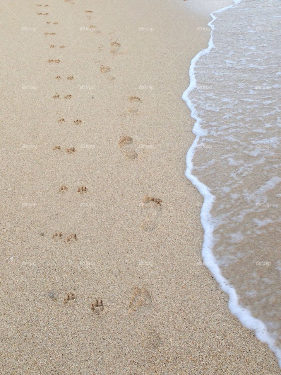 Footprints in the Sand