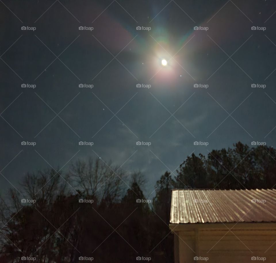 Light of the Wolf Moon3