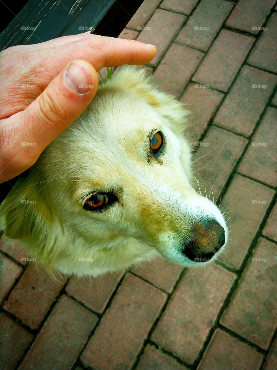 Смотри человек......