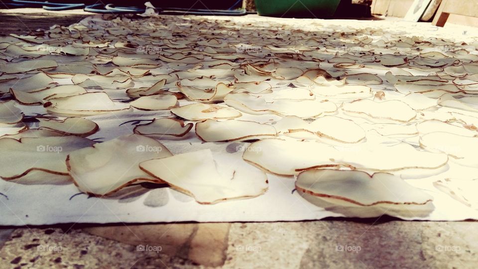 I love potato chips, that's why my mom loves to make them for me. Wet potato chips drying in the sun.