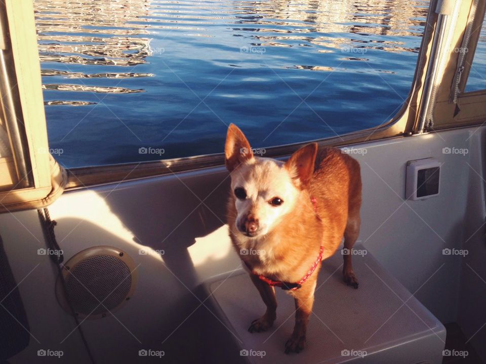 Boating day